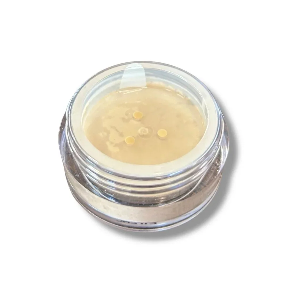 Setting Powder Duo Set Translucent Ciate Laura Mercier - Picture 3 of 5